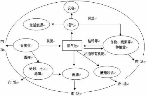 種養結合模式 種養結合模式