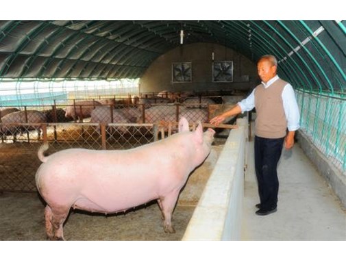 2020年養殖汙水處理規模增長率（lǜ）升至20%