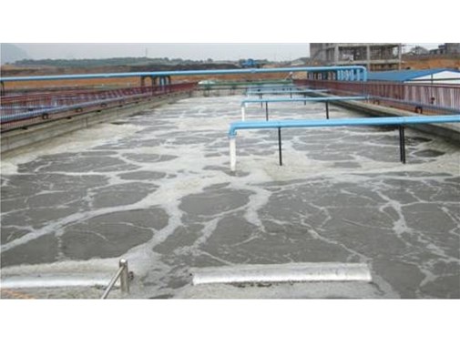 養殖汙水處理中的致病微生物該如何處理？